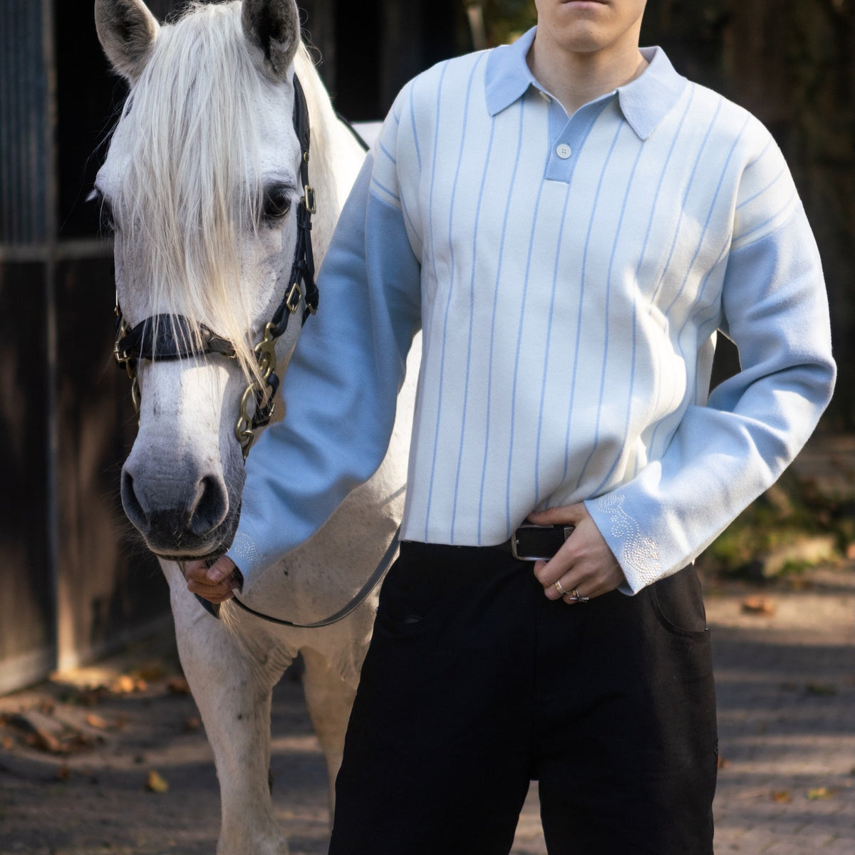 Heavy Knit Polo (Blue)